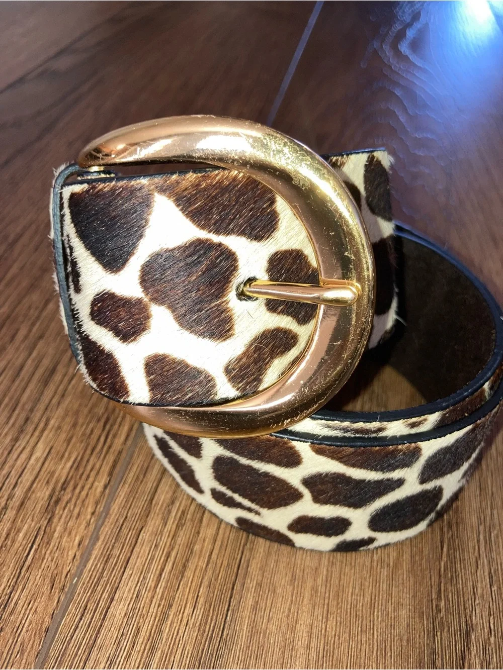 Source Unknown stylish giraffe